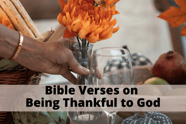 Thanksgiving volunteer opportunities tampa bay